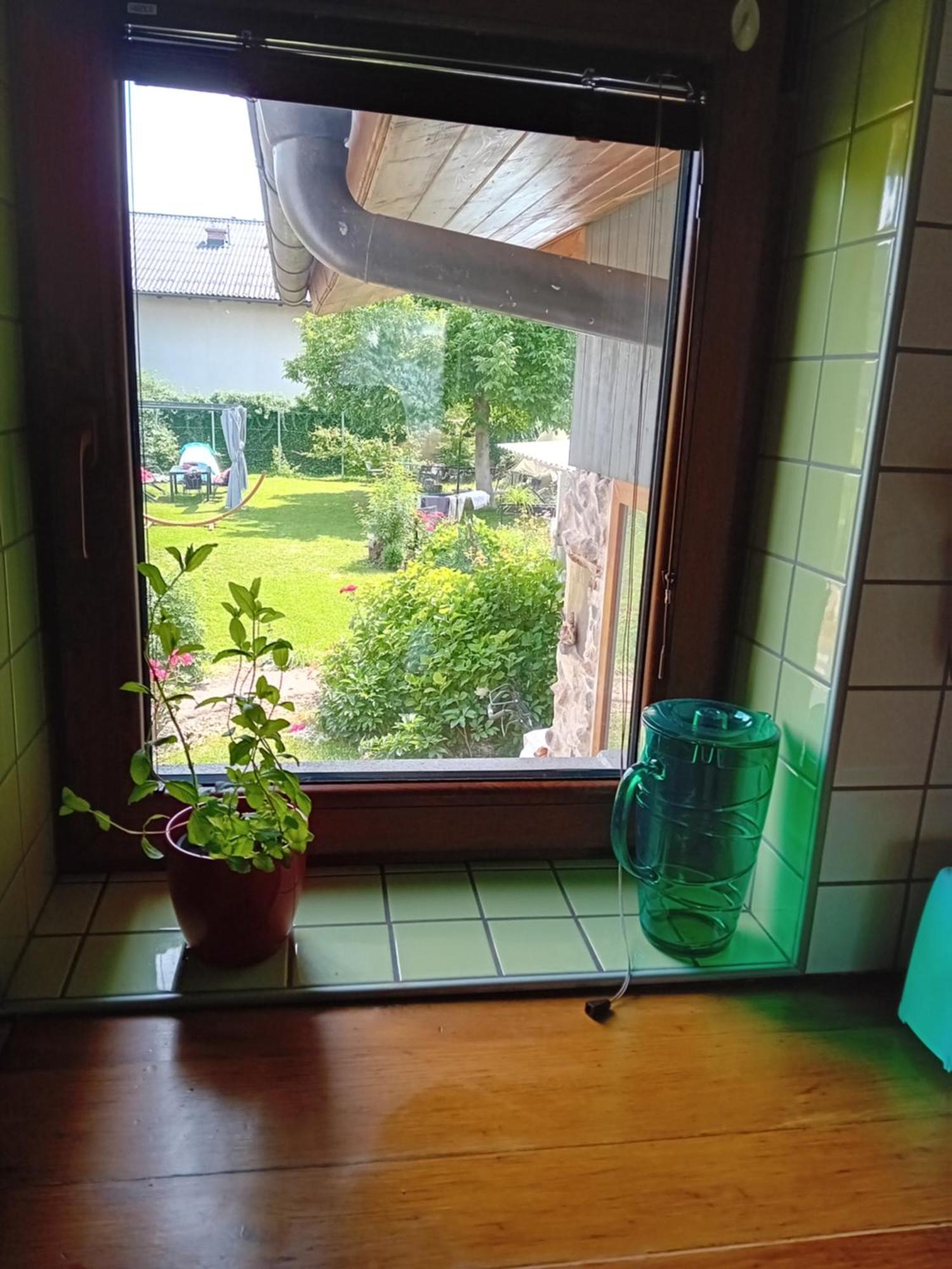 Apartment Baci For 4 Guests Любляна Экстерьер фото